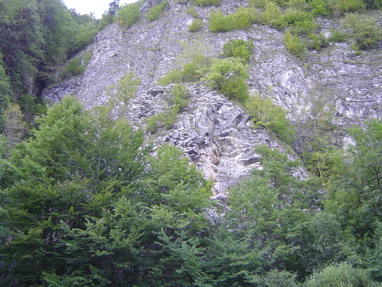 DSC01383