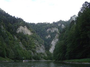 DSC01384