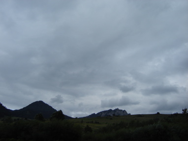 DSC03445