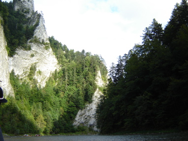 DSC03546