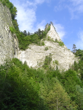 DSC06353