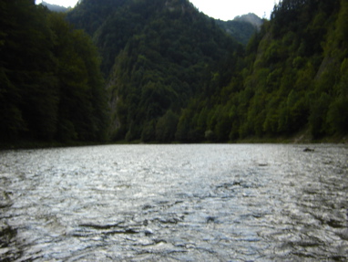 DSC03548