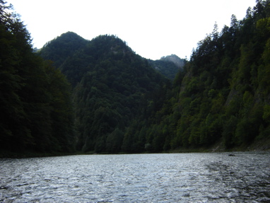 DSC03549