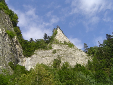 DSC01387