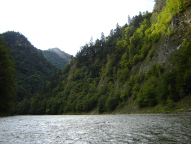 DSC03551