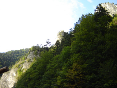 DSC03553