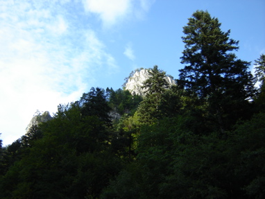 DSC03554