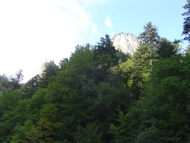 DSC01389