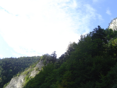 DSC01390