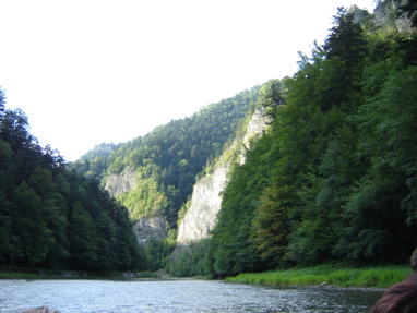 DSC03555