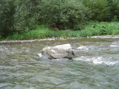 DSC01291