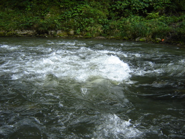 DSC03556
