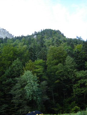 DSC03557