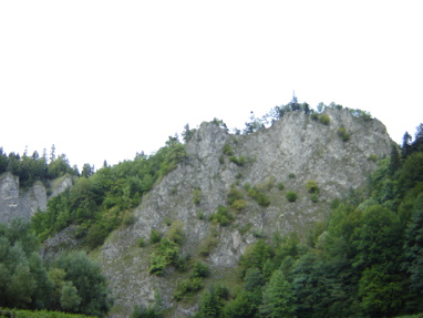 DSC03558