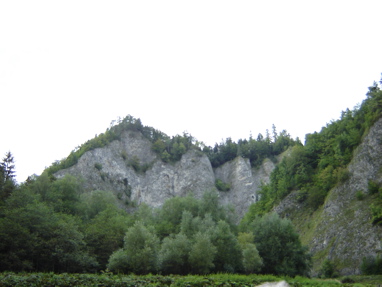DSC03559