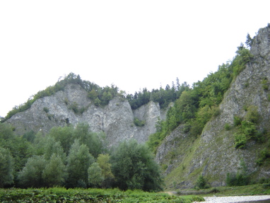 DSC03560