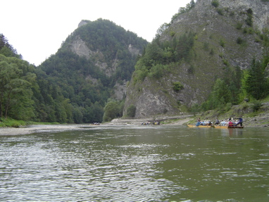 DSC01395
