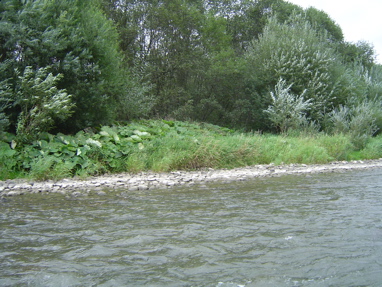 DSC01292
