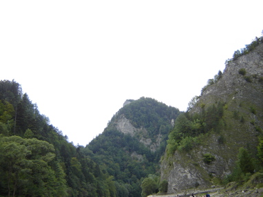 DSC03561