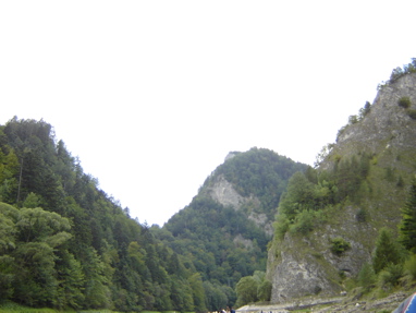 DSC03562