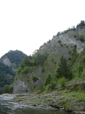 DSC03563