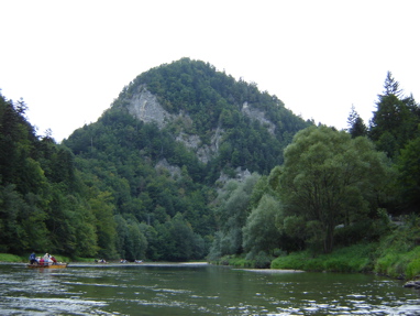 DSC03565