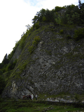 DSC03566