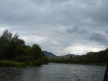 DSC03446