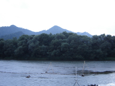 DSC03572