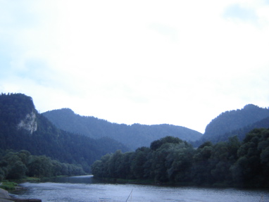 DSC03573