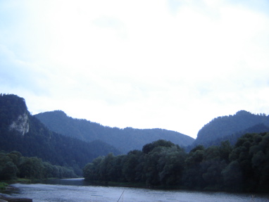 DSC03575