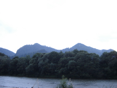 DSC03576