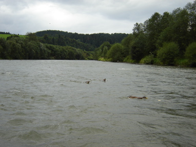 DSC03450