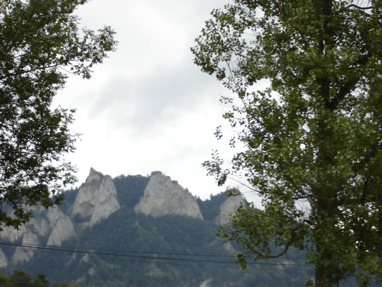 DSC03455