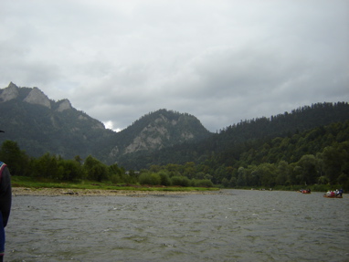 DSC03460