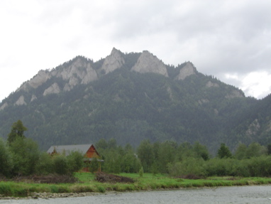 DSC06316