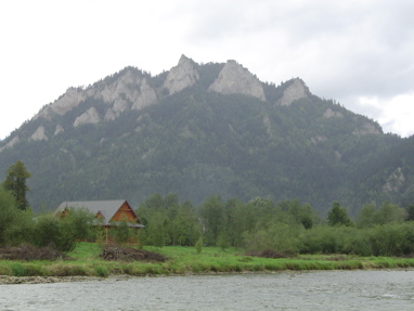 DSC06317