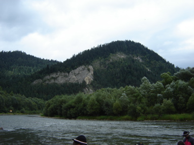 DSC03441