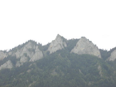 DSC03465