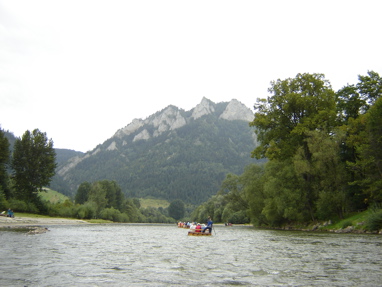 DSC03466