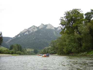 DSC03467