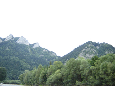 DSC03470