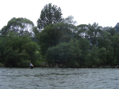 DSC01305