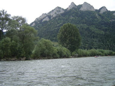 DSC01306