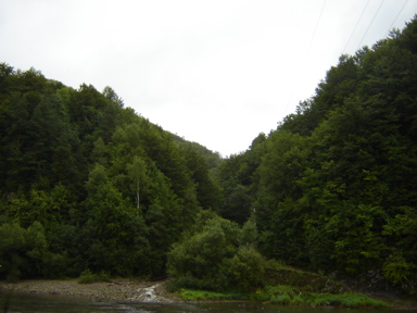 DSC03591