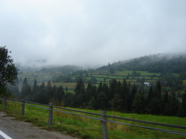 DSC03597