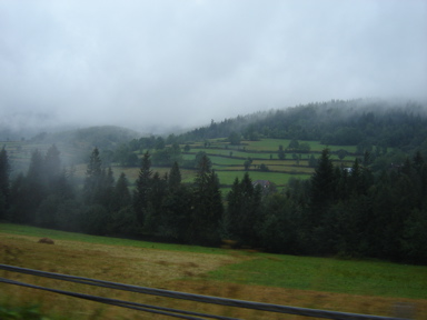 DSC03598