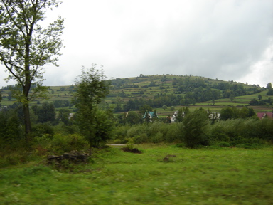 DSC03602