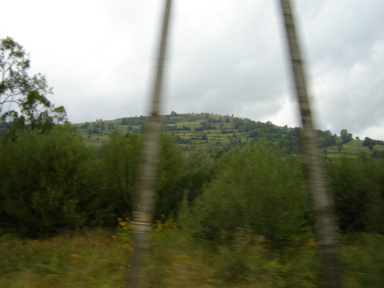 DSC03603
