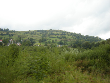 DSC03604